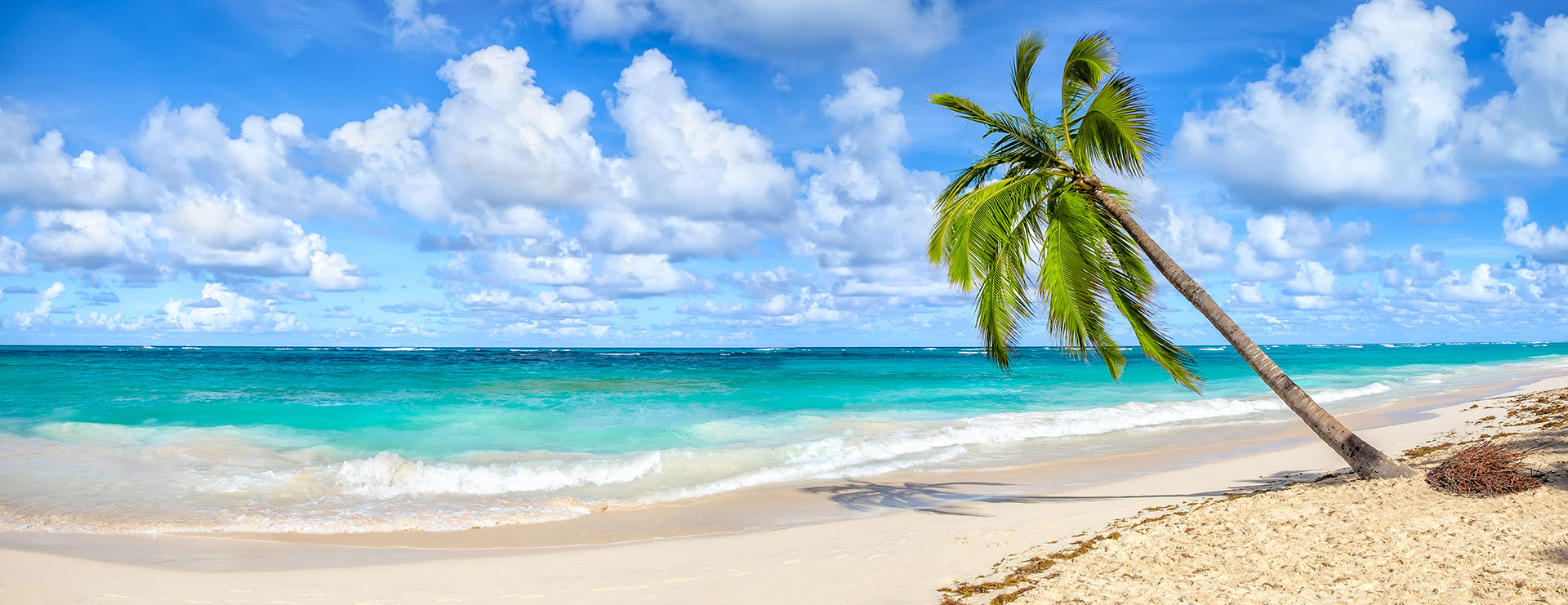 The image shows a tropical beach scene with clear blue skies, palm trees, and a sandy shoreline.