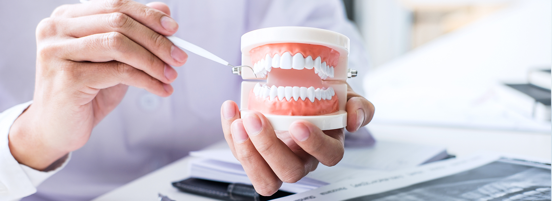 A person s hand holding a toothbrush with a model set of teeth in front of them, against the backdrop of a blurred office setting.