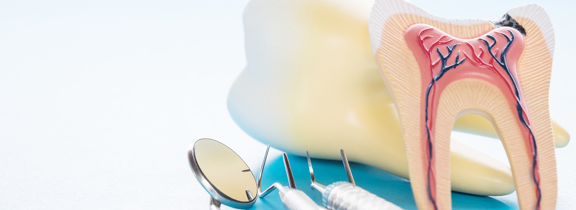 The image features a close-up of a toothbrush with bristles, a dental floss container, and an illustration or model of a human mouth with teeth and gums, all set against a light blue background.